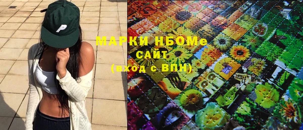 шишки Абаза