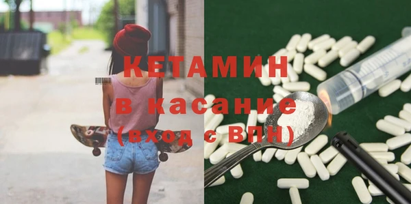 шишки Абаза