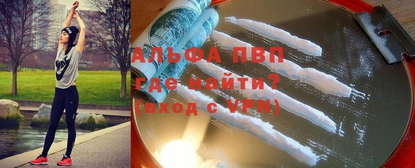 шишки Абаза