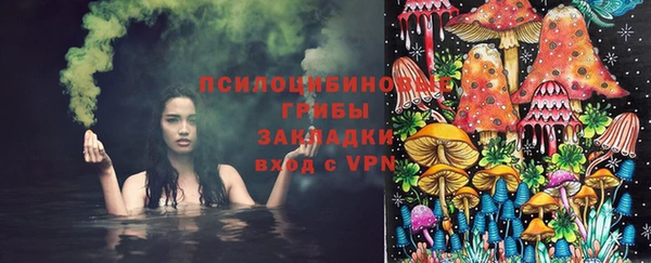 крисы Алексин