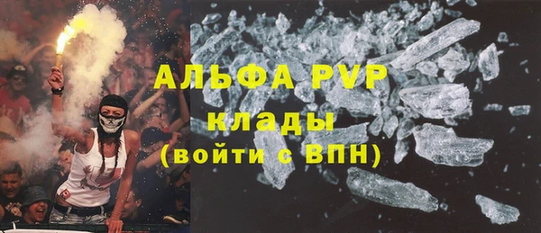 шишки Абаза