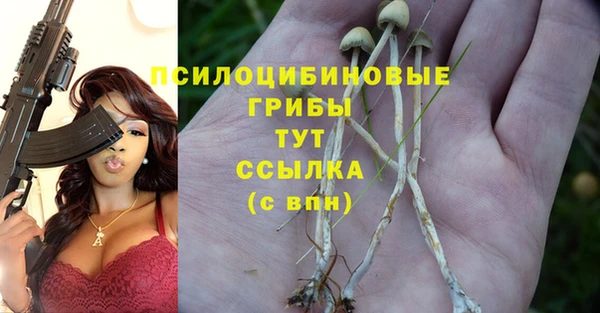 шишки Абаза