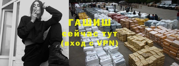 шишки Абаза
