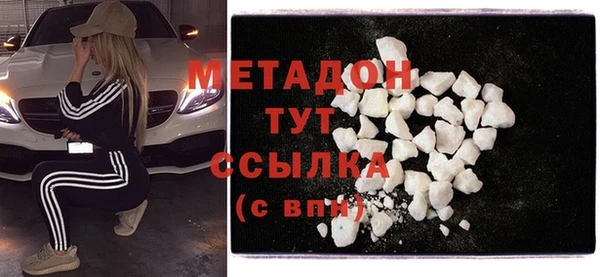шишки Абаза