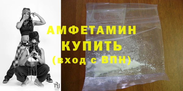 шишки Абаза