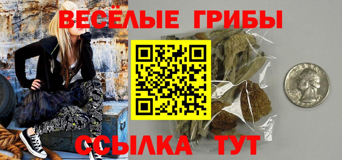 Псилоцибиновые грибы MAGIC MUSHROOMS Златоуст