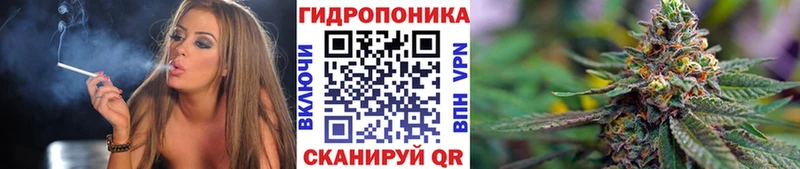 как найти закладки Златоуст Бошки марихуана SATIVA & INDICA